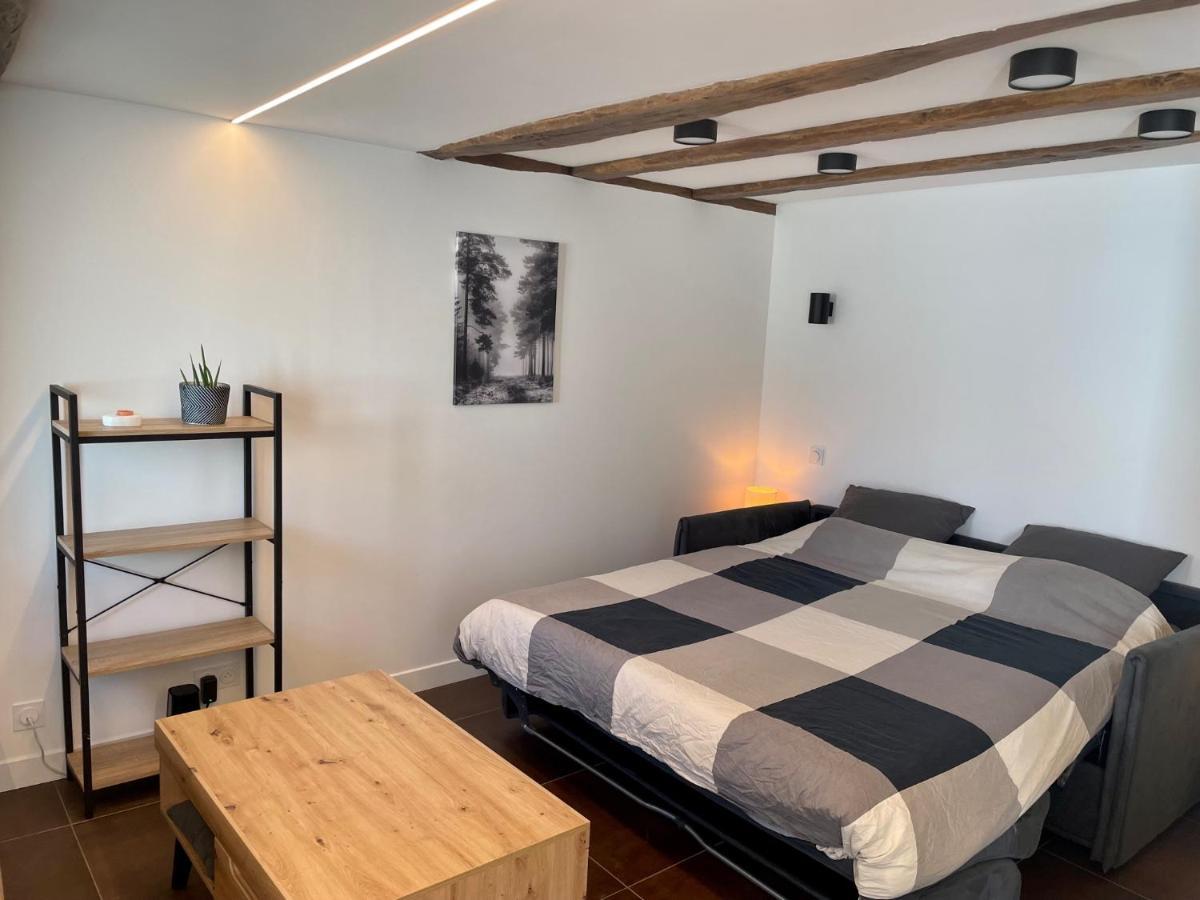 Studio De Charme Proche Nantes & Aeroport Au Calme 레제 외부 사진